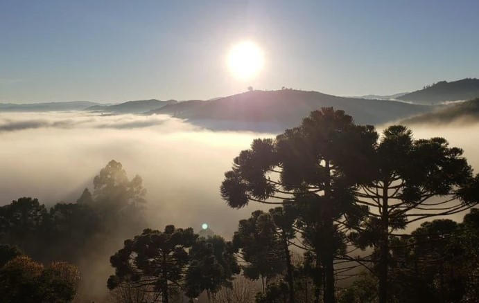 Quase 50 cidades de Minas estão sob alerta de frio, segundo Inmet