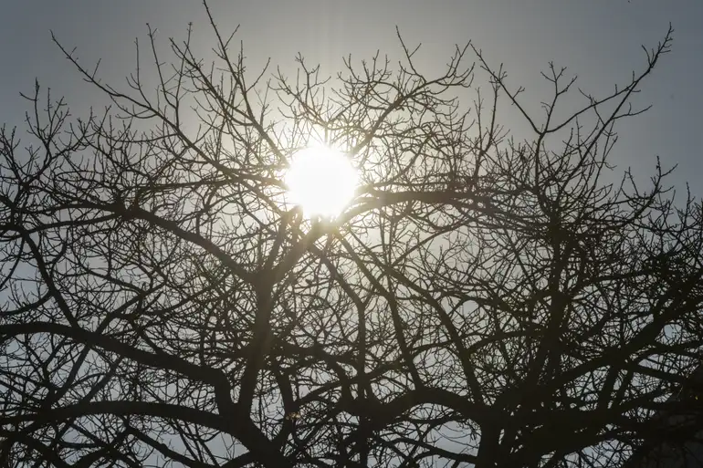 Clima de deserto: BH pode ter umidade do ar em torno de 15% até quarta-feira (4)