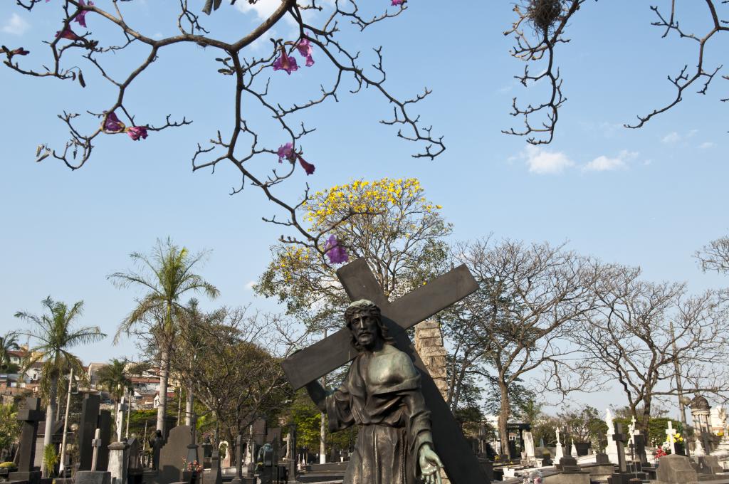 PBH publica regras para venda de flores no Dia de Finados