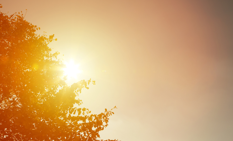 Com máxima de 34°C, BH pode bater quinto recorde de calor seguido nesta terça