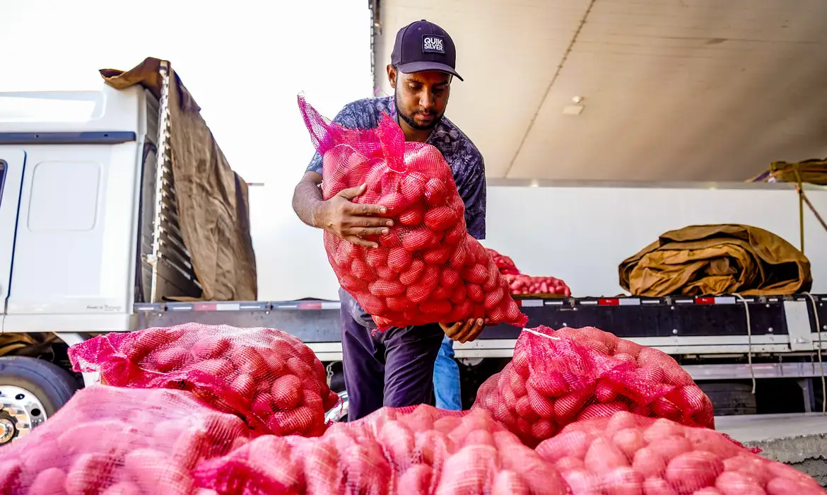 Conab aponta queda de preço da batata e alta da cebola e tomate