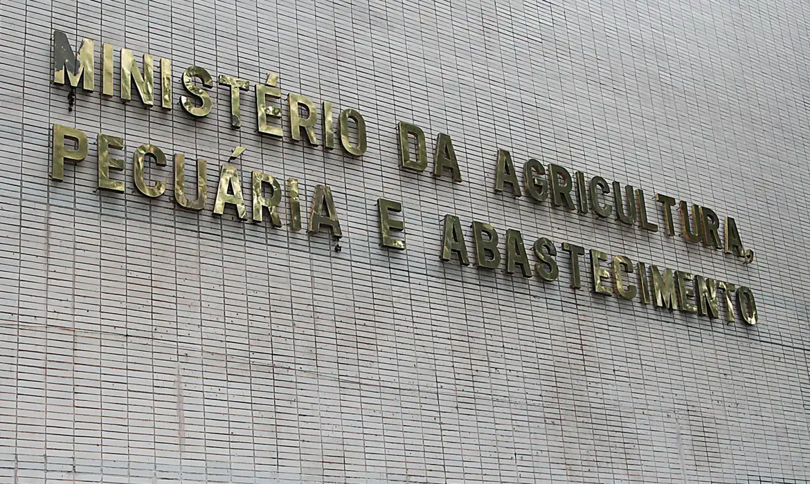 Ovos de granja com caso de gripe aviária estão rastreados, diz Mapa