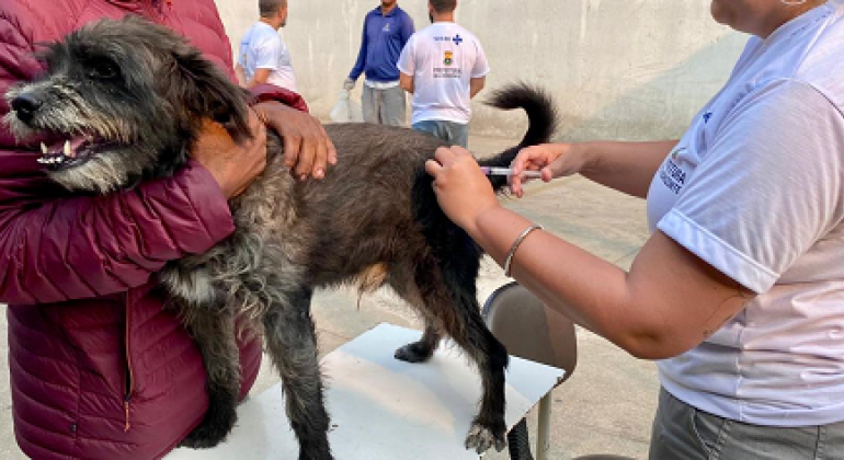 Cães e gatos podem ser vacinados contra a raiva nesta sexta (1°) e sábado (2) em shopping de BH