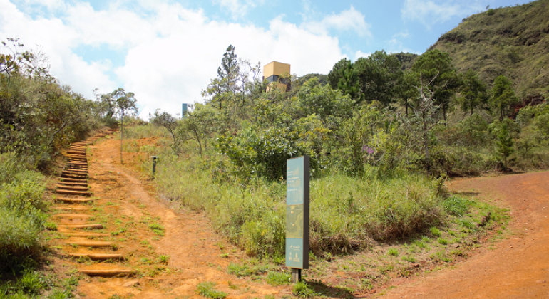 Parque Serra do Curral celebra 13 anos com trilha guiada neste sábado (6)