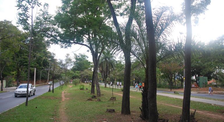 Pista de caminhada da Av. José Cândido da Silveira terá nova iluminação a partir de novembro
