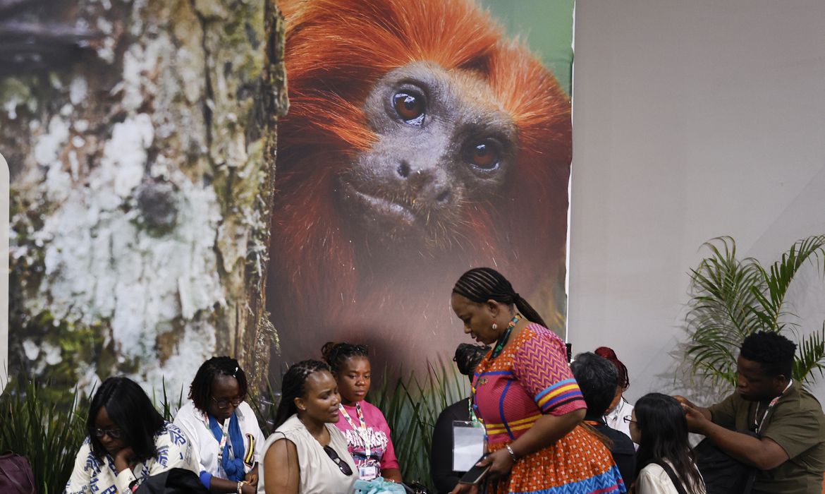 COP30: financiamento, transição e adaptação são centro das negociações
