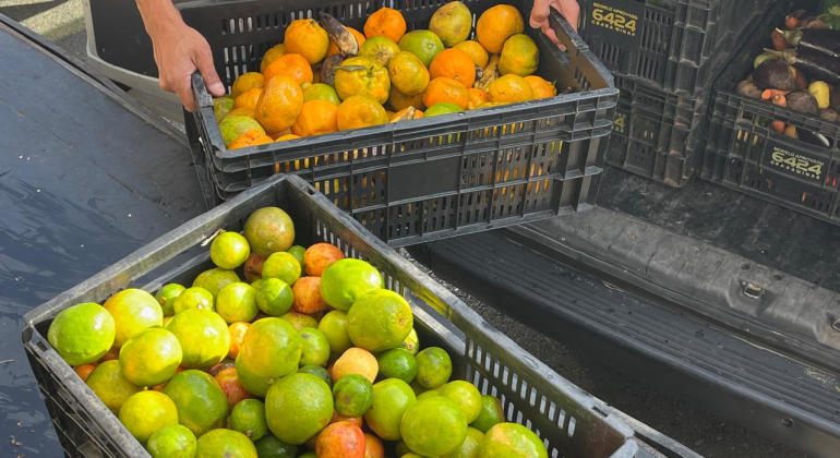 PBH inicia cadastramento de instituições para acesso a banco de alimentos