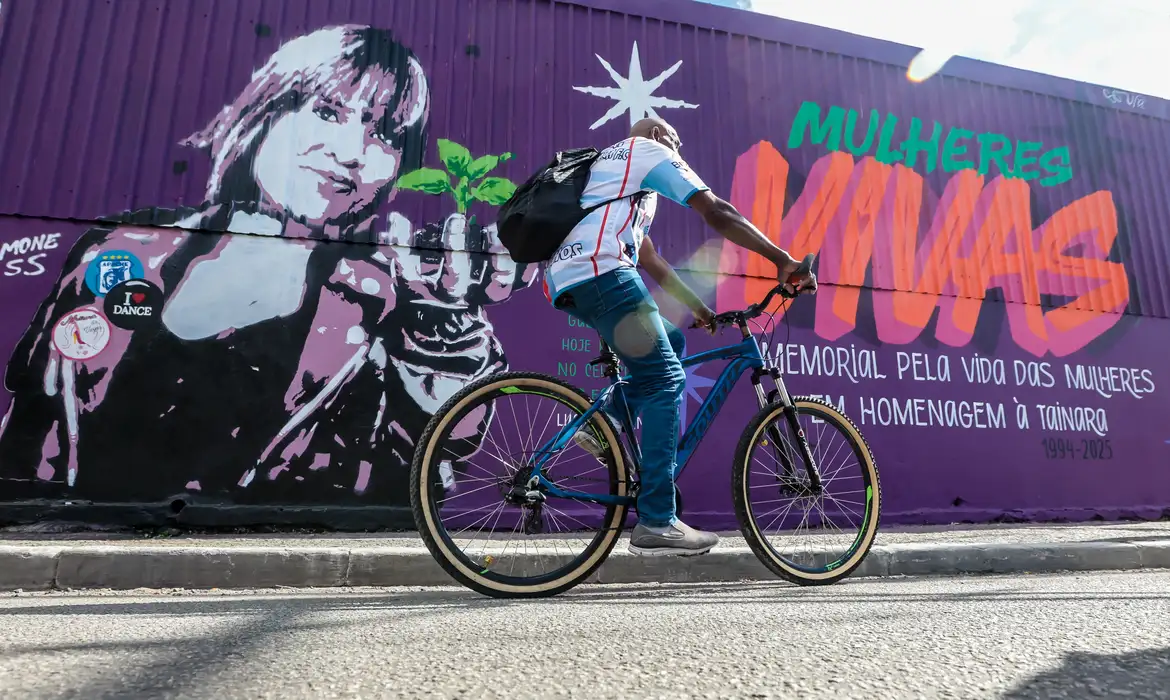 Senado aprova cadastro de condenados por violência contra mulher