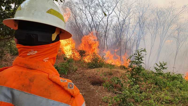 El Niño: Governo de Minas lança Plano contra incêndios florestais com foco em mudanças climáticas