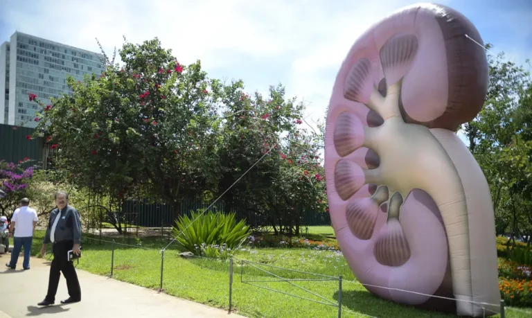 Doença renal crônica pode evoluir sem sintomas