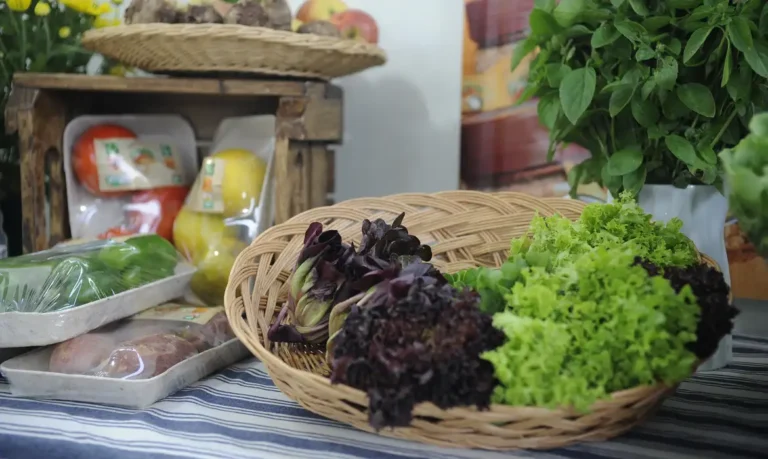 Saiba como lavar frutas, verduras e legumes da forma correta
