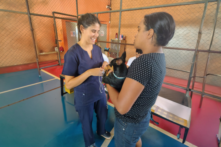 BH terá 4 mil castrações gratuitas de cães e gatos a partir de agosto