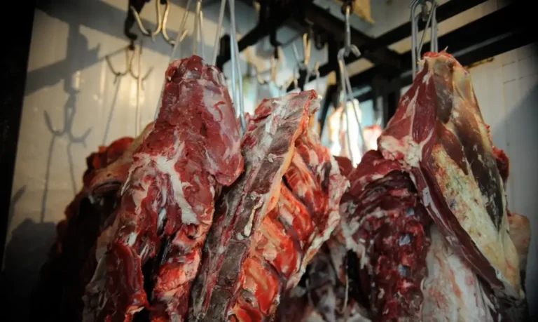 Consumo excessivo de carne vermelha aumenta risco de câncer de intestino