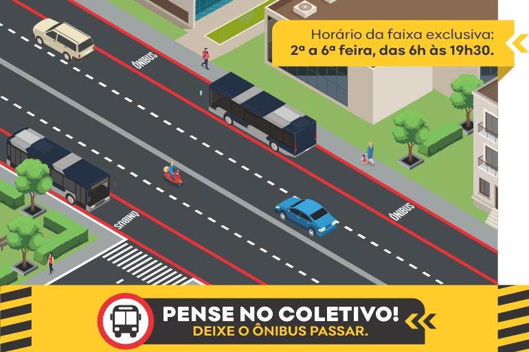 BH: faixas exclusivas e preferenciais para ônibus começam a funcionar na Av. Afonso Pena