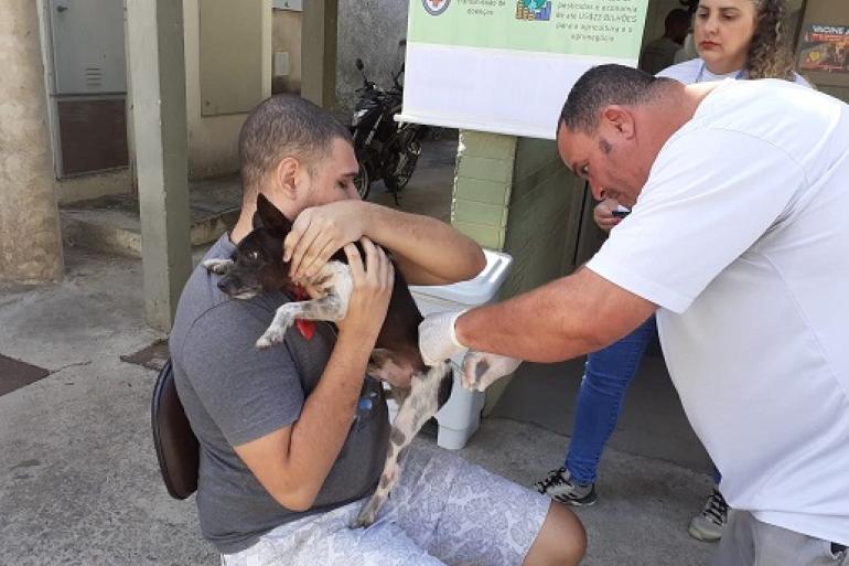 BH ganha dois pontos extras de vacinação antirrábica nesta semana; veja onde
